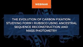 Studying Form I Rubisco using ancestral sequence reconstruction and mass photometry