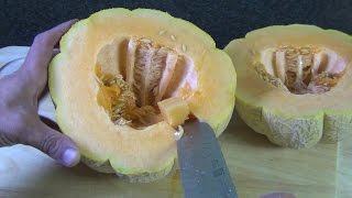 Aquaponic Cantaloupe!