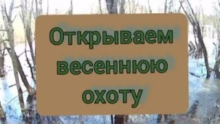 Открытие весенней охоты