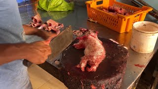 Cutting Up a Rabbit for Meat in 2024 - Butchering Tutorial