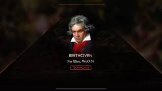 Beethoven Fur Elise WoO 59 Pianista