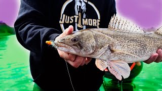 "GETTIN' STONED" - Yellowstone River Sauger fishing - 2020