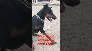 Max - frontal commands from the chair.