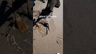 Catch and cook (Razor clams) #fyp #shorts #reels #shortvideo #tiktok #razorclams #oregon #food