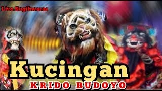 Kucingan| Krido Budoyo|| Seni Jaranan Campursari| Jaranan Banyuwangi| Jaranan Terbaru|