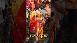 बिहार का महा पर्ब //#chhath #puja #video #treanding 🙏🏻🙏🏻🥰 @feelmotivated-cb8ic