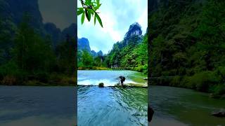 Tranquil Trails: Discovering Nature’s Peace #shorts #ytshorts #nature #sunrise #mountains