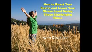 How to Boost Your Spirits and Lower Your Stress Level In These Challenging Times -   Part III