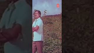 കസ്തൂരി മണക്കുന്നല്ലോ#evergreenmalayalam #love #superhitmalayalmsongs #moviemusic  #moviesong