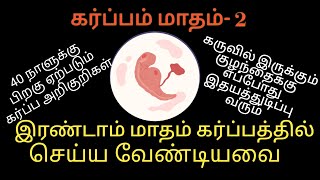 2nd month of pregnancy baby growth in tamil | pregnancy symptoms in tamil  | pregnancy tips in tamil