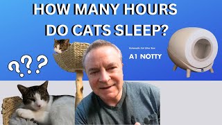 HOW MANY HOURS DO CATS SLEEP IN A DAY?  A1 NOTTY SELF CLEANING LITTER BOX REVIEW