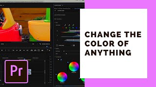 Change the Color of Anything in Your Video | Premiere Pro Tutorial