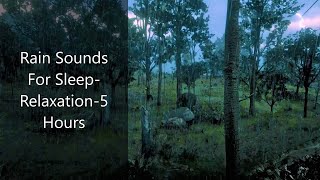 Sleep to the sounds of rain - 5 Hours of rain in the woods