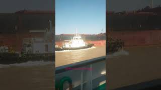 Bulk carrier ship short video