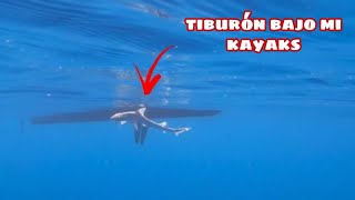 Tiburon ATACA , pesca En kayak en Canarias