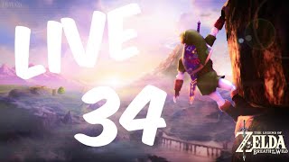 Zelda Breath of the Wild live 34