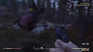 Yao guai bbq spinning fallout76 glitch