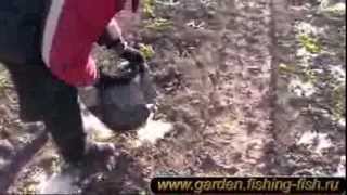 Подготовка огорода к зиме.Preparing the vegetable garden to winter