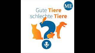 Folge #29: Alles rund um Ratten