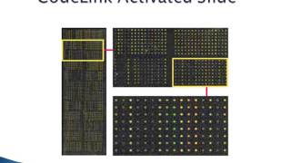 Microarray Lecture