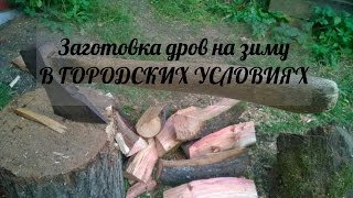 Заготовка дров в городе