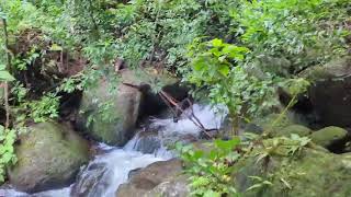 Relaxing Hike up to Lulumahu Falls Honolulu February 28, 2023