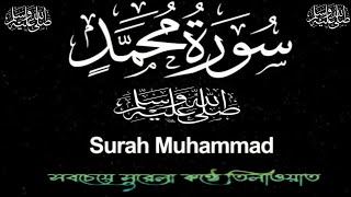 Tranquil Recitation of Surah Muhammad (محمد ‎سورة)