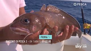 PESCA TV SKY 236 - RACCONTI DI PESCA 2 - promo HL