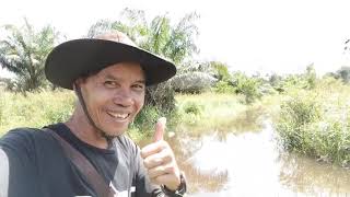 Perjuangan Mancing Suasana Banjir#Umpan Jitu