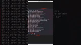 How to install Osmedeus in Kali Linux#shorts