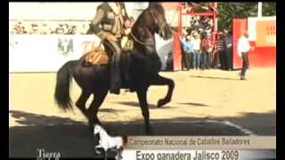 Expo Ganadera Jalisco 2009 en Guadalajara - parte 4