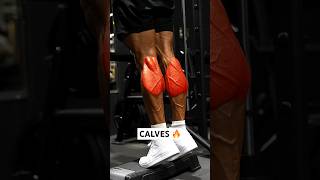 Grow massive CALVES! 🔥 #shorts