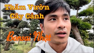 Ghé Thăm Vườn Cây Cảnh Ở Nhật - Toàn Cây Khủng | MoMo Cuộc Sống Nhật Bản