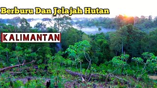 NEKAT JELAJAH DAN BERMALAM DIHUTAN TUA KALIMANTAN