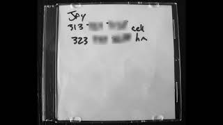 J Dilla - 5 CD Beats