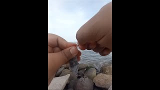 Pescando de Orilla como un PRO con una Cuchara