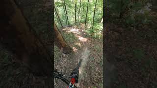 Up & down enduro #trekbikes #rail #mtb #enduro #ebike #bosch #cx #insta360go3