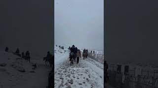 Enchanting Fresh Snowfall in Sonamarg, Kashmir