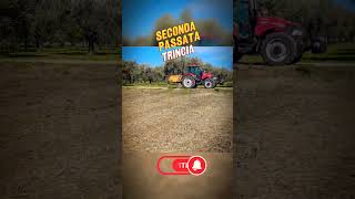 HO TRINCIATO TUTTO | asparagi #agricoltura #shortvideo #gargano #shorts