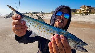 The Reason Why I Love Surf Fishing! 🤯 #4K #Beach #Fishing #SpanishMackerel #BigFish #VilanoBeach