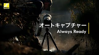 オートキャプチャー（野鳥撮影編） | Always Ready | ニコン