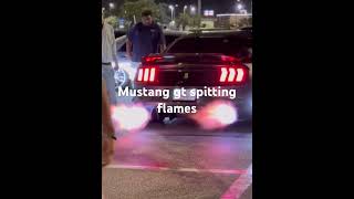 Ford mustang gt sounds unreal #mustanggt #ford #fordmustang #automobile #car