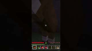 ￼tentando Domar esse cavalo #minercraft #minecraft #minecreft #minecraftmemes #manecreft ￼