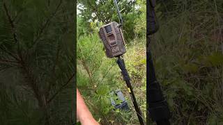 Settin my muddy cell cam in my new food plot. The muddy mitigator