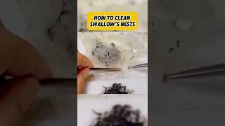 How to clean a swallow's nest #factsdaily #factshorts #uniqueshorts