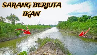 Surga Bagi Para Pemancing,,!! Jutaan ikan bersarang di sungai ini