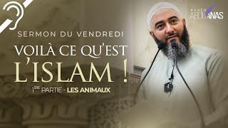 (Sous-titres) L'ISLAM ET LES ANIMAUX 1ÈRE PARTIE - NADER ABOU ANAS