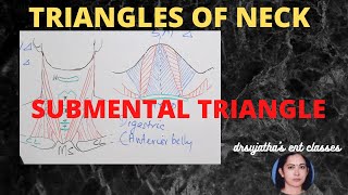 108.Triangles of  neck - Anatomy  # anterior  triangle  neck #Submental triangle #anatomylectures