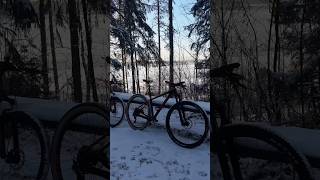 Зимний велосипед в Ленинградской области  зима Питер #garmin #mtb #strava #cycling #триатлон #suunto