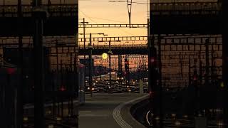 Beautiful Zurich Train Station Sunset #youtubeshorts #short #shorts